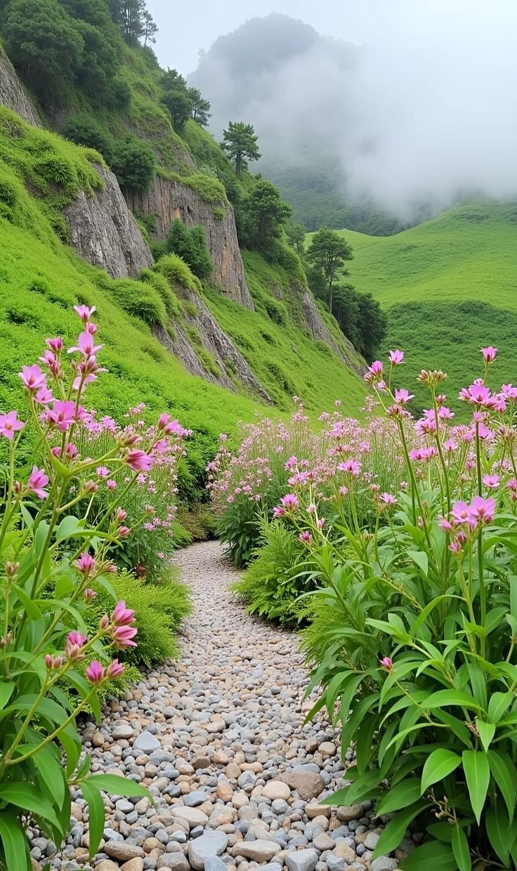 Nature