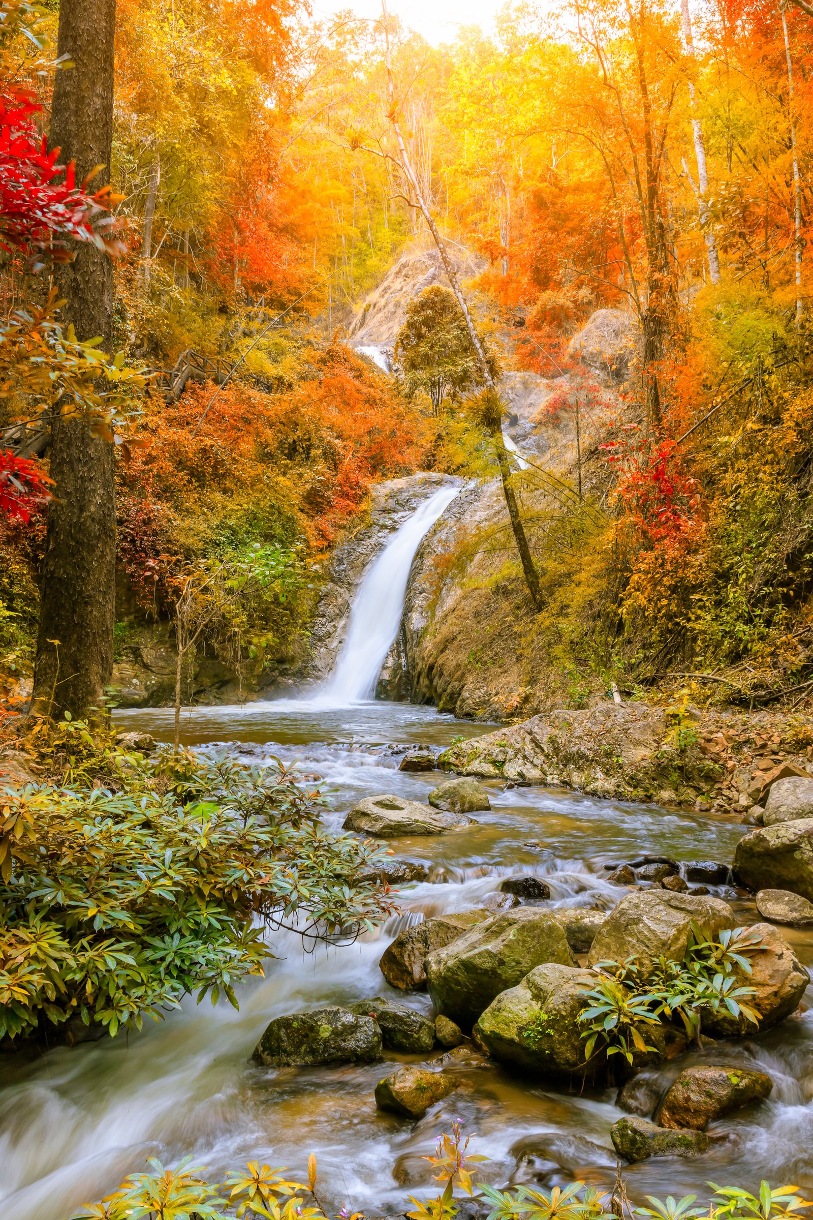 Nature Beauty